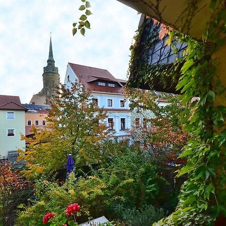 Haus Buchheim - Pension Am Schloss Bautzen Eksteriør billede